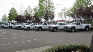 Custom Plumbing Fleet of vehicles